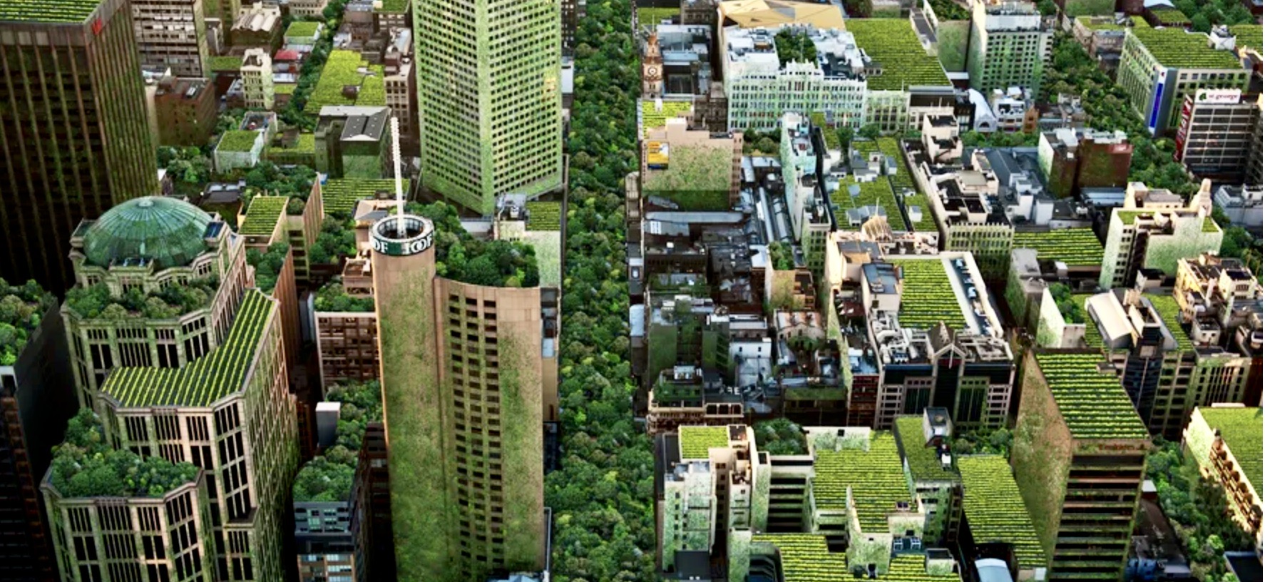 SOIL IN THE CITY (or EAT DIRT!)